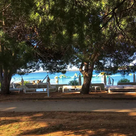 Sunset ميدولين